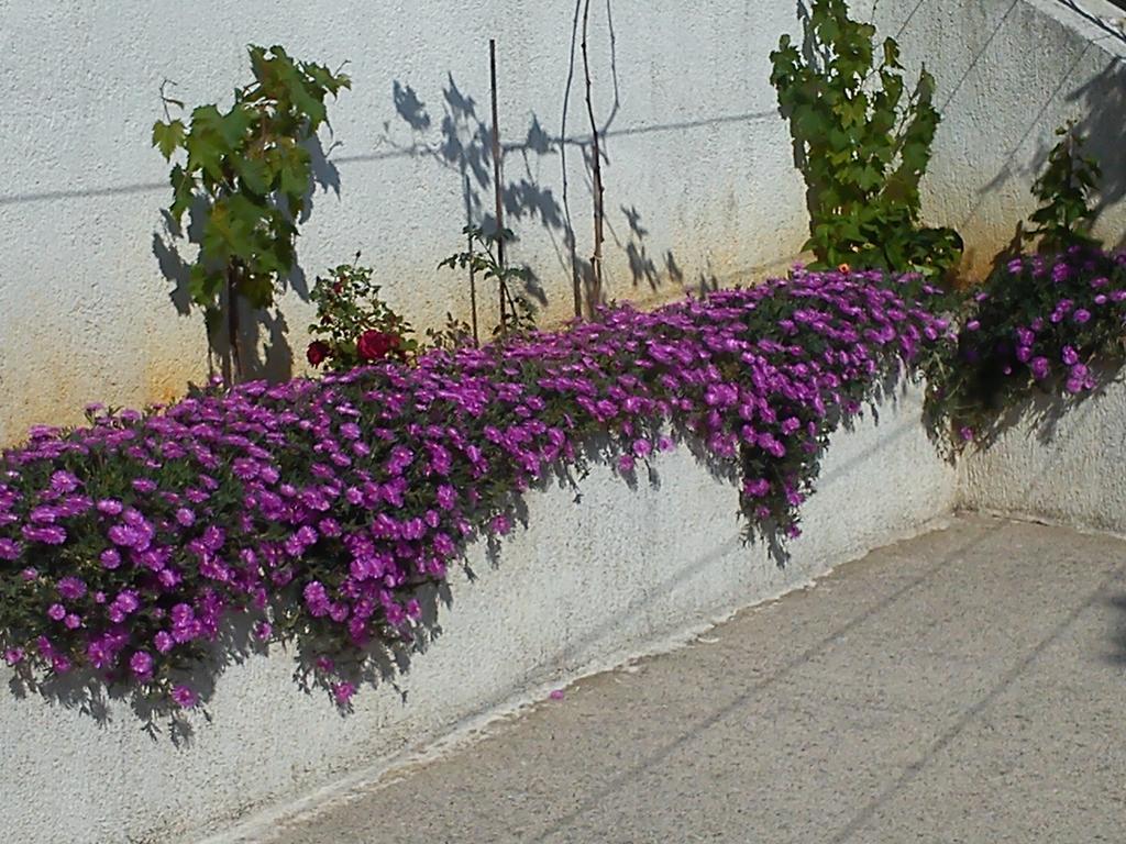 Guest House Vukusic Crikvenica Kültér fotó