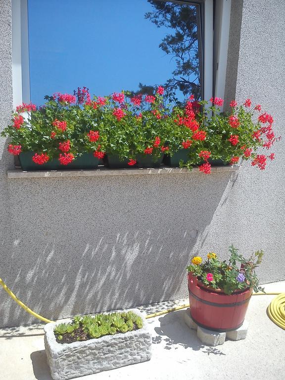 Guest House Vukusic Crikvenica Kültér fotó